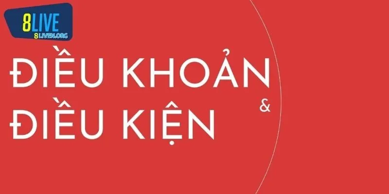 Quyền lợi và nghĩa vụ người chơi theo điều khoản điều kiện