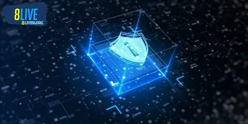 Những yếu tố trong chính sách quyền riêng tư